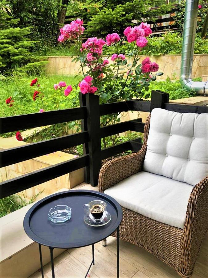Casa Varful Cu Dor Sinaia Ngoại thất bức ảnh