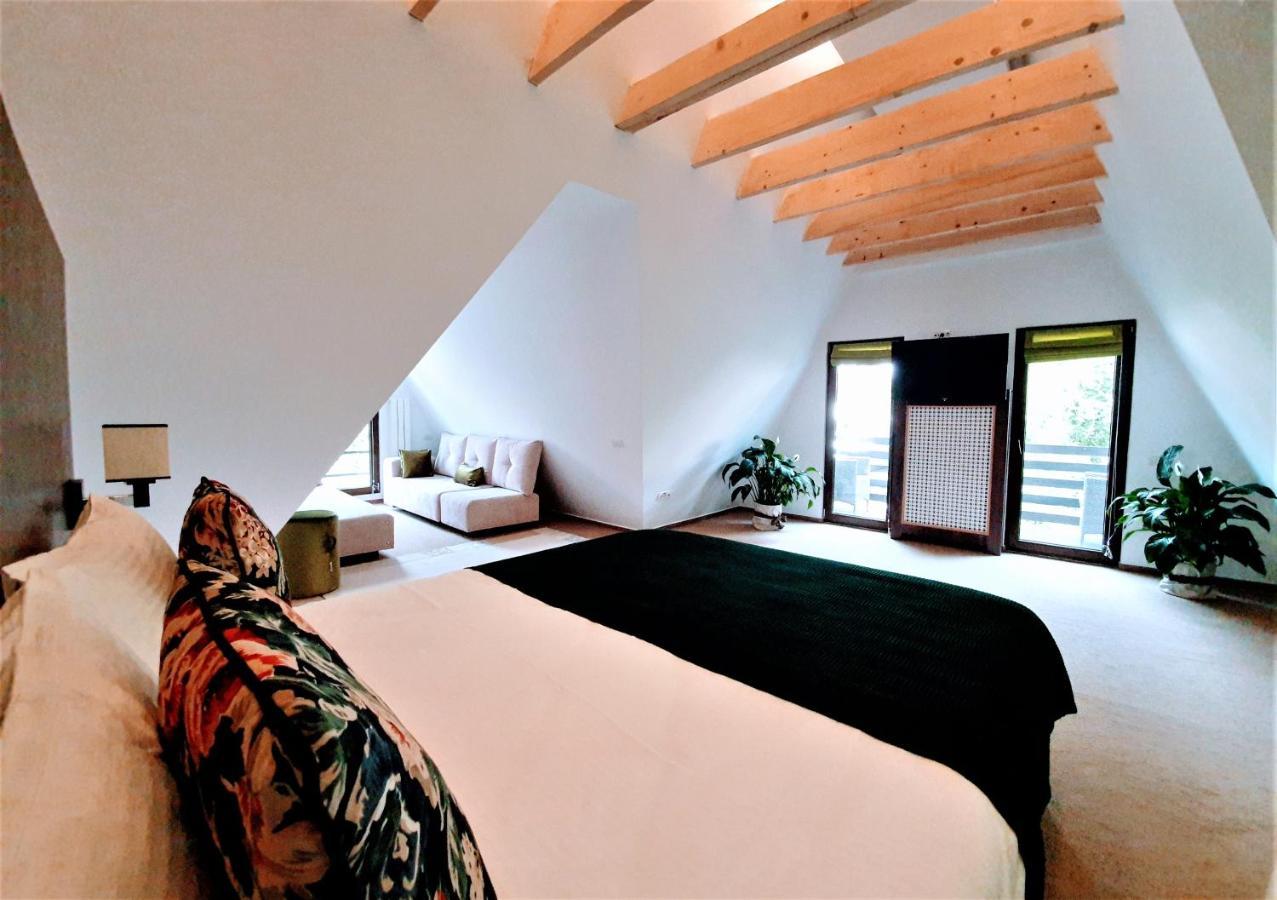 Casa Varful Cu Dor Sinaia Ngoại thất bức ảnh